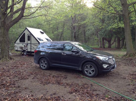 Falls Reserve Conservation Area